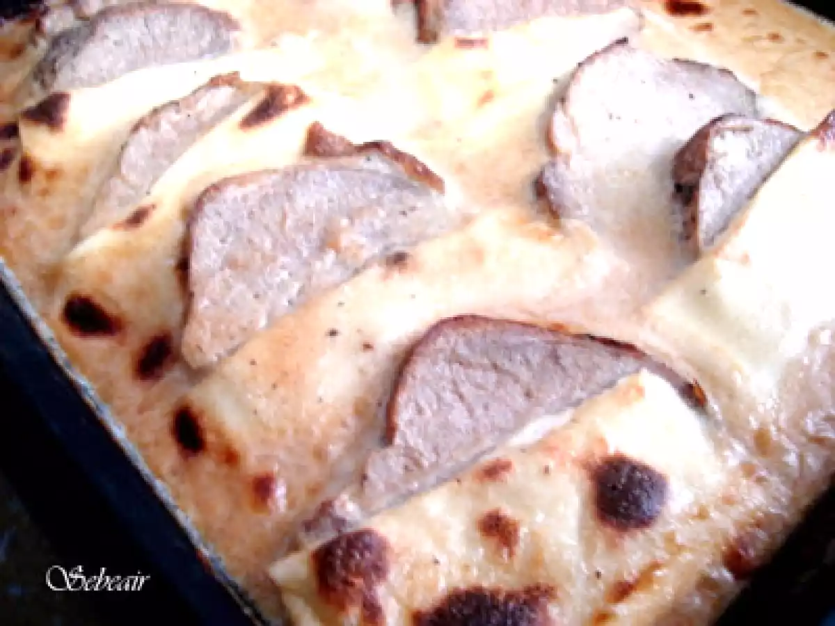 SOLOMILLO CON QUESO GRATINADO (fussioncook y horno)