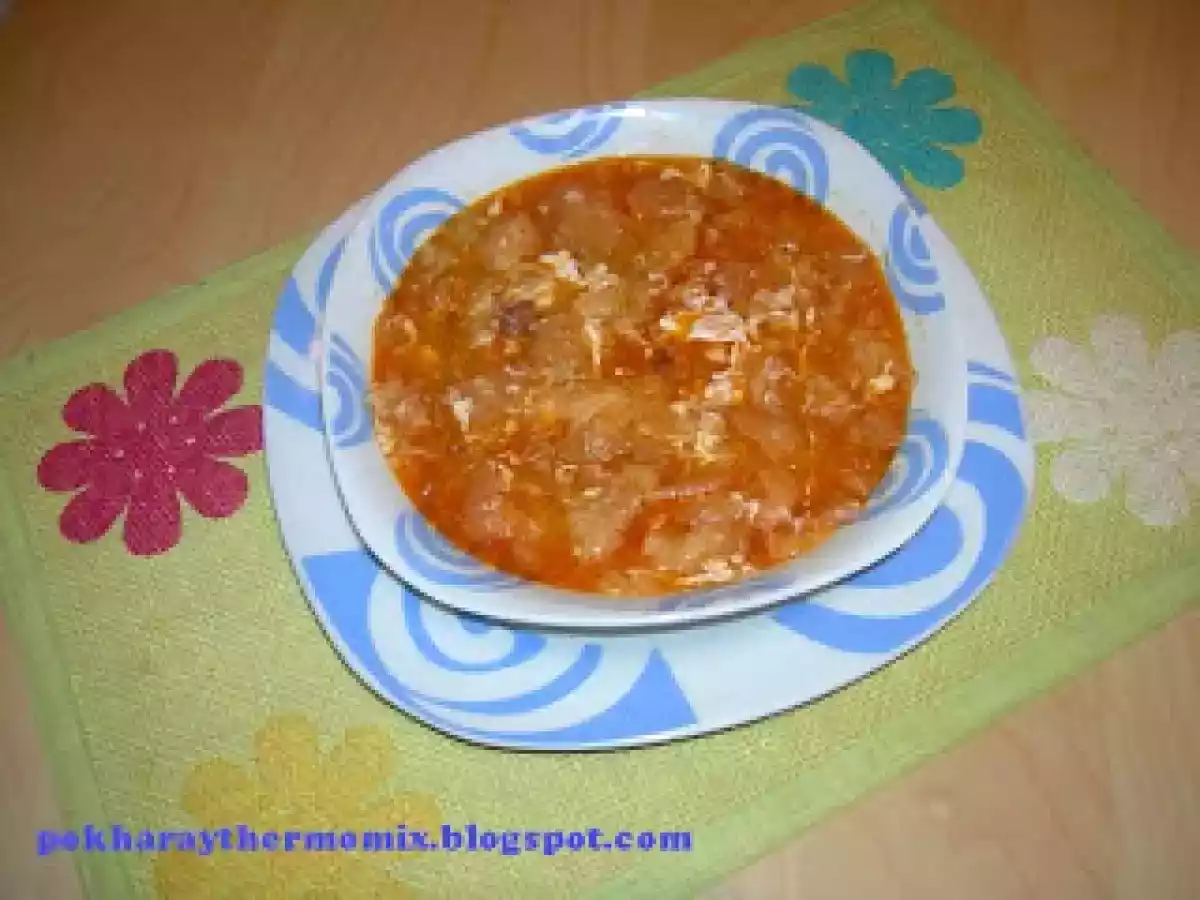 Sopa castellana