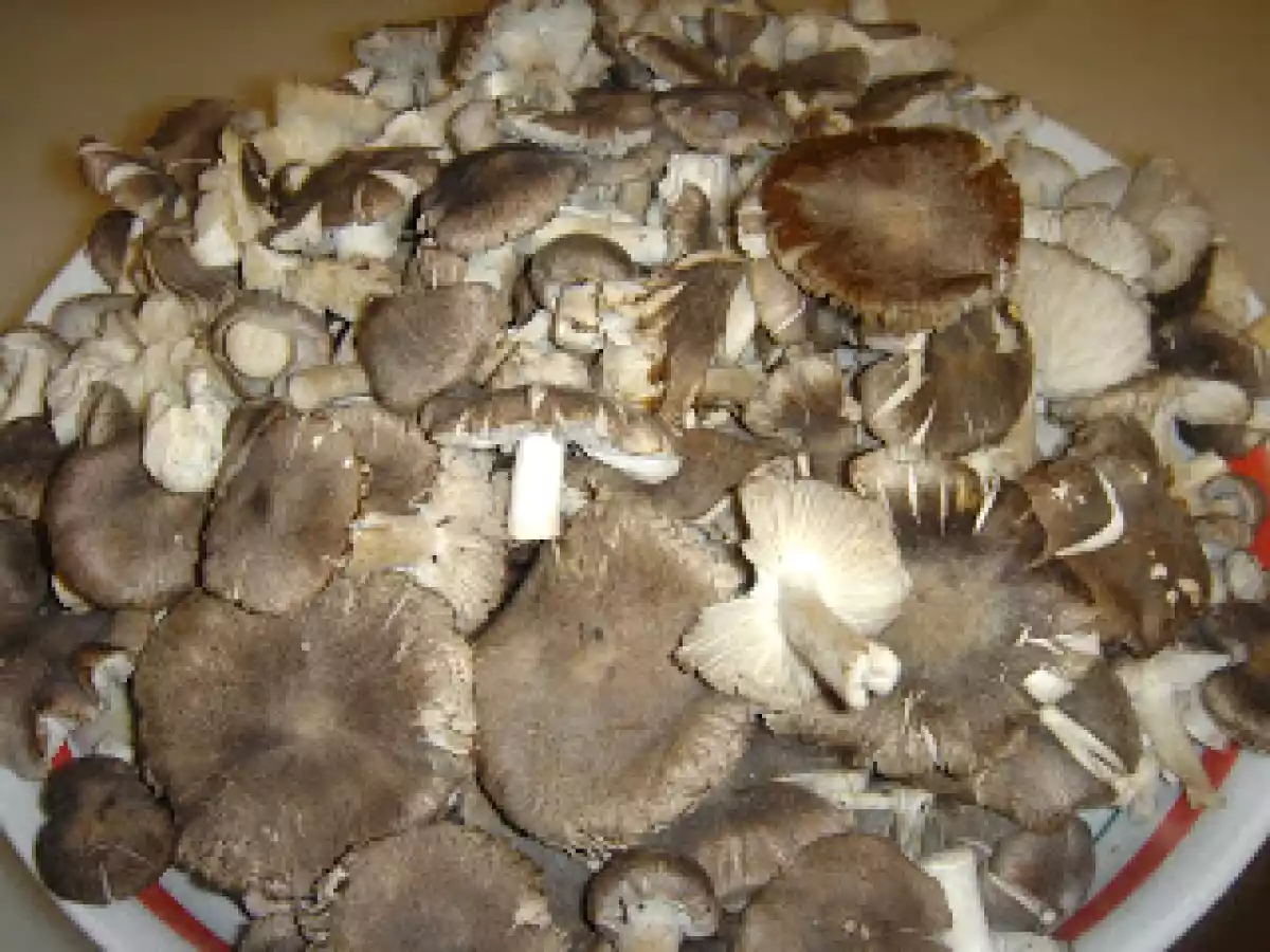 SOPA DE FREDOLICS (SETAS) CON PELOTILLAS - foto 2