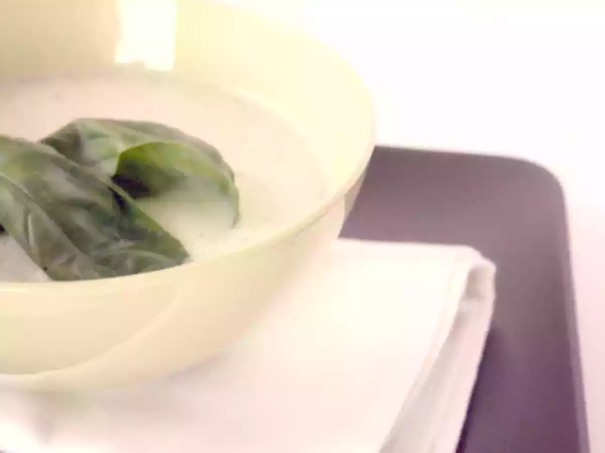 SOPA DE MELÓN Y YOGUR CON MENTA