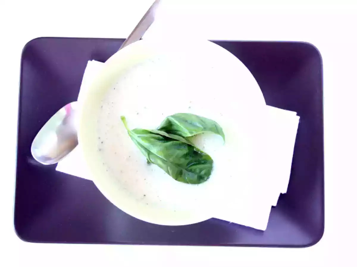 SOPA DE MELÓN Y YOGUR CON MENTA - foto 2