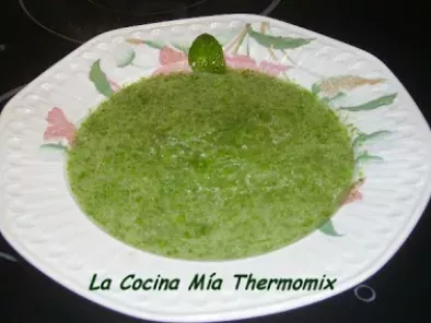 Sopa de Ortigas Anisada (Thermomix)