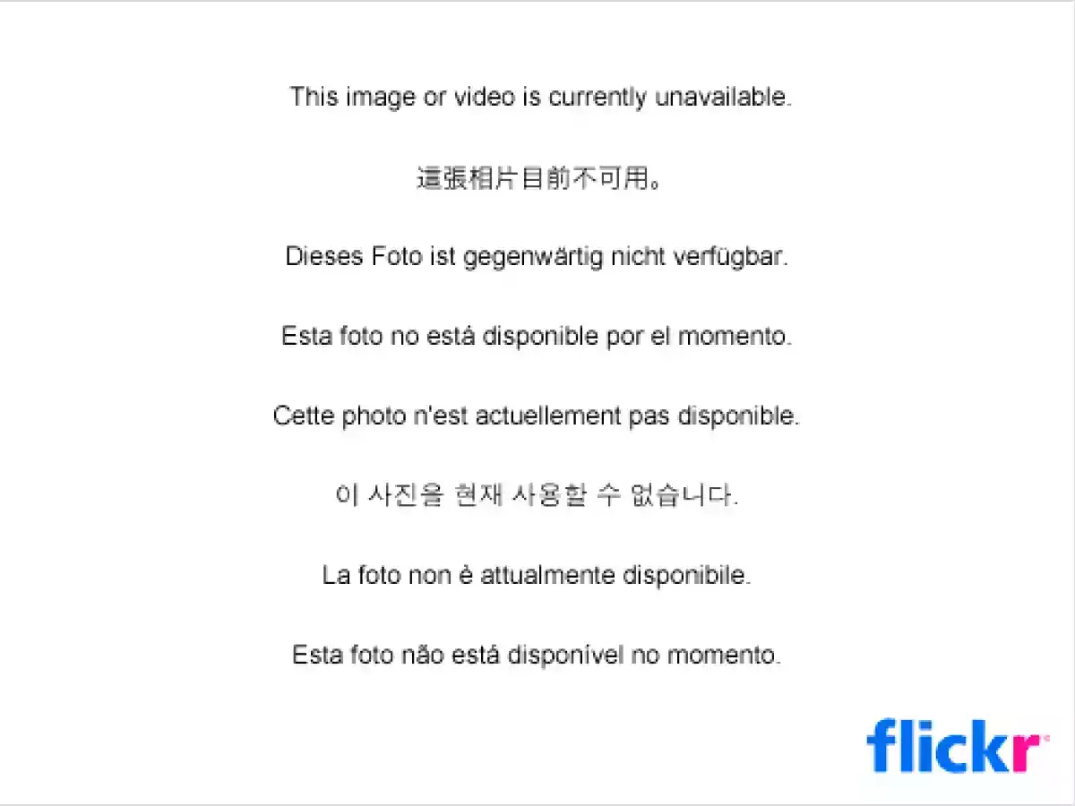 Sopa de pollo para el alma