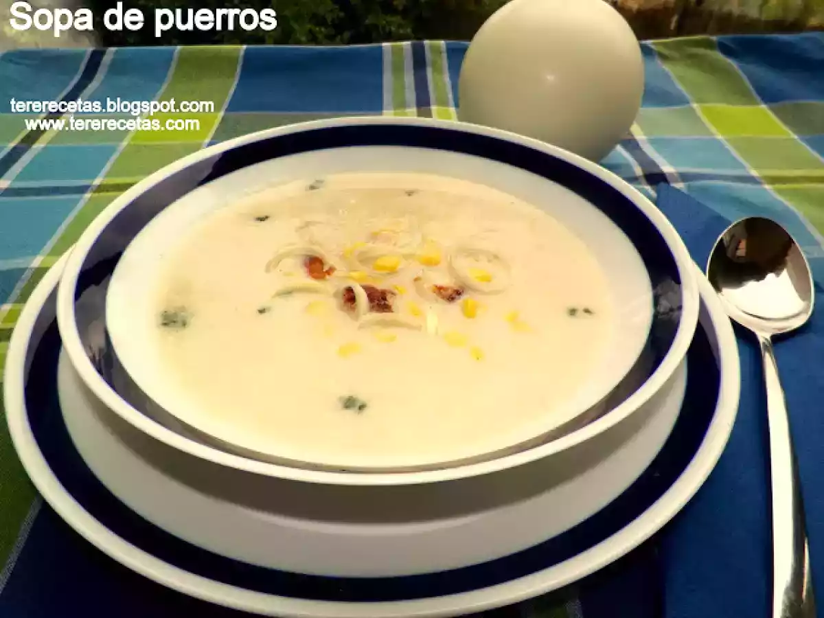 Sopa de puerro (ajoporro).