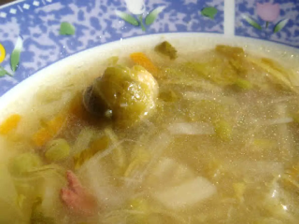 Sopa Juliana - foto 2