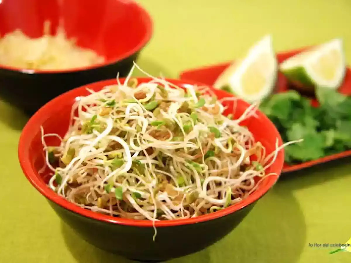 Sopa vietnamita - foto 2