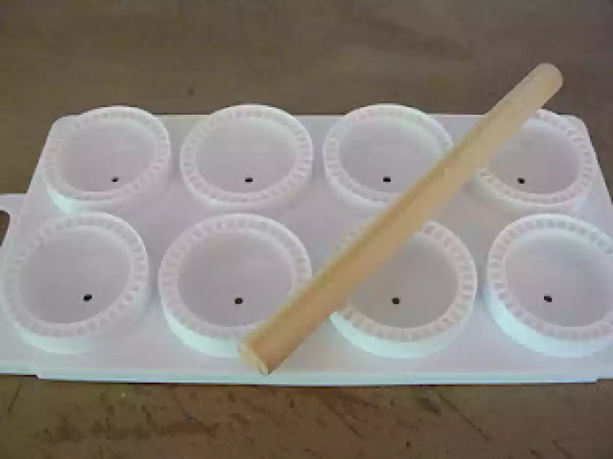 Sorrentinos caseros rellenos de carne