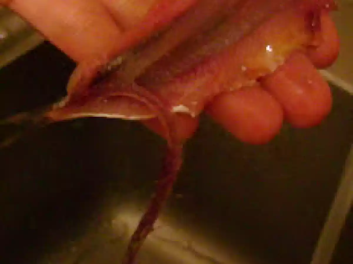 Spaguetti con Pescado Azul, pasas de uva y piñones en baño de azafràn e hinojos. - foto 2