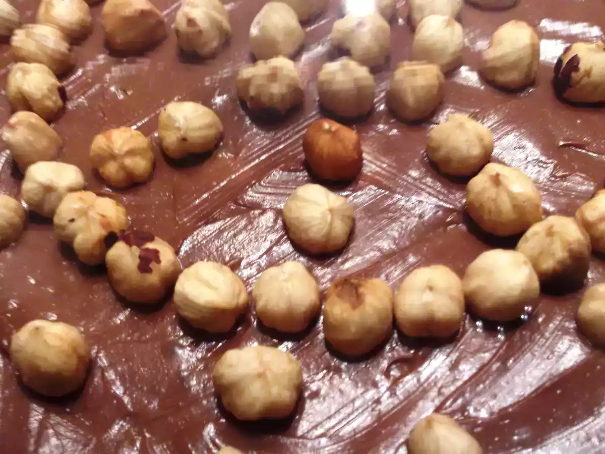 Tarta de queso y nutella sin horneado (Nigella Lawson) - foto 3