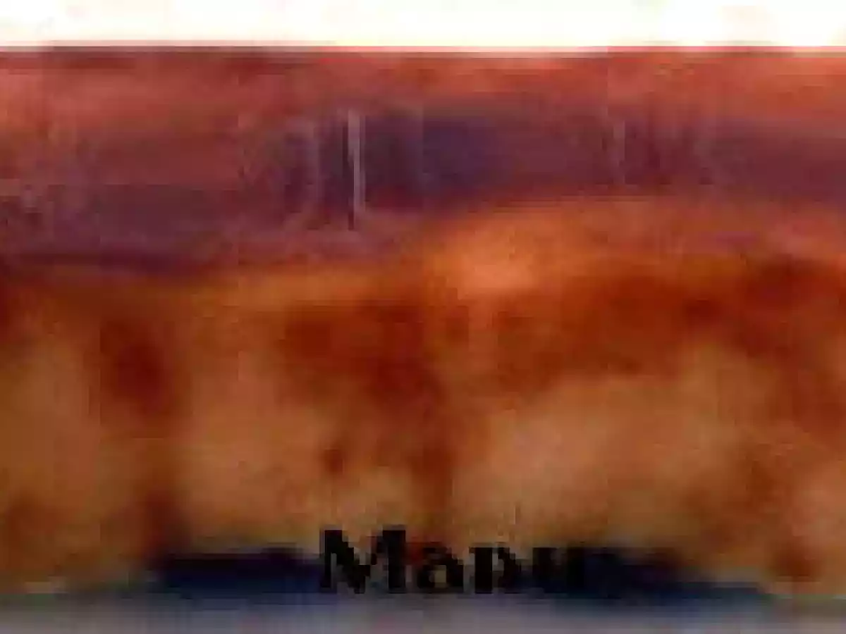 Tarta flan de piña.