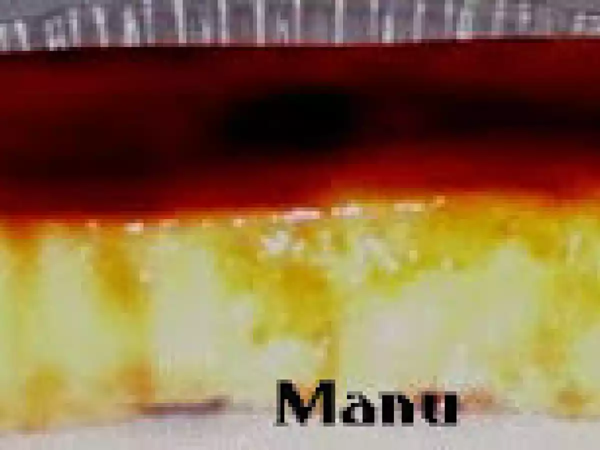 Tarta flan de piña. - foto 2