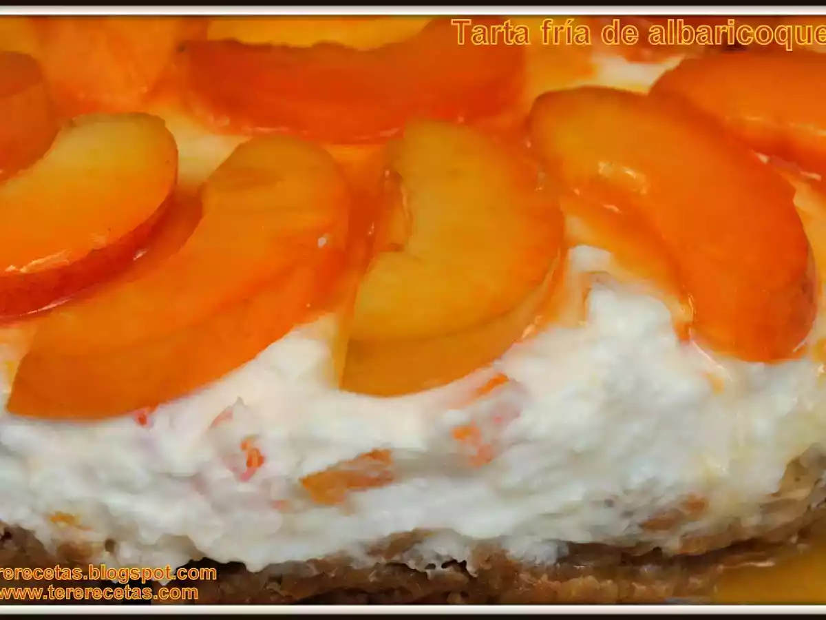 Tarta fría de yogur y albaricoques - foto 2