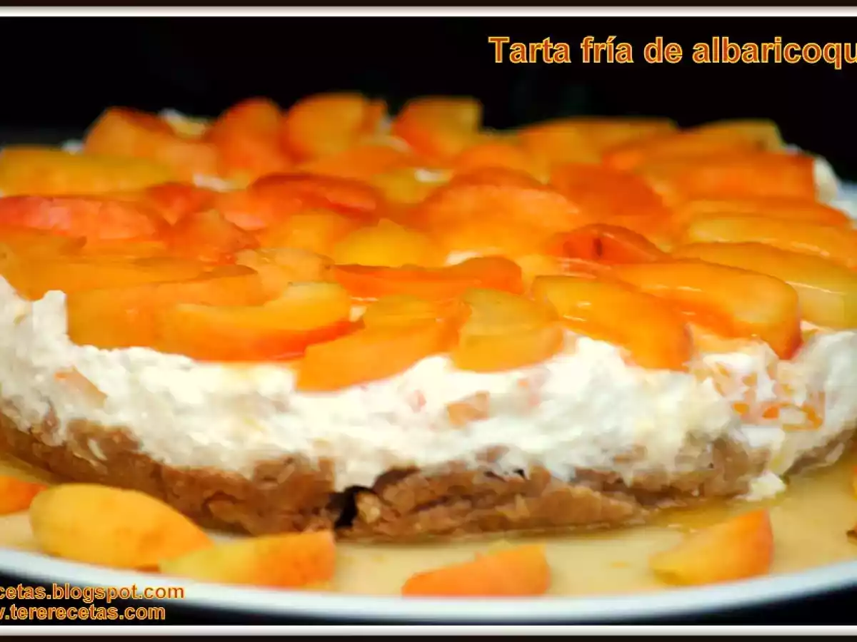 Tarta fría de yogur y albaricoques - foto 4