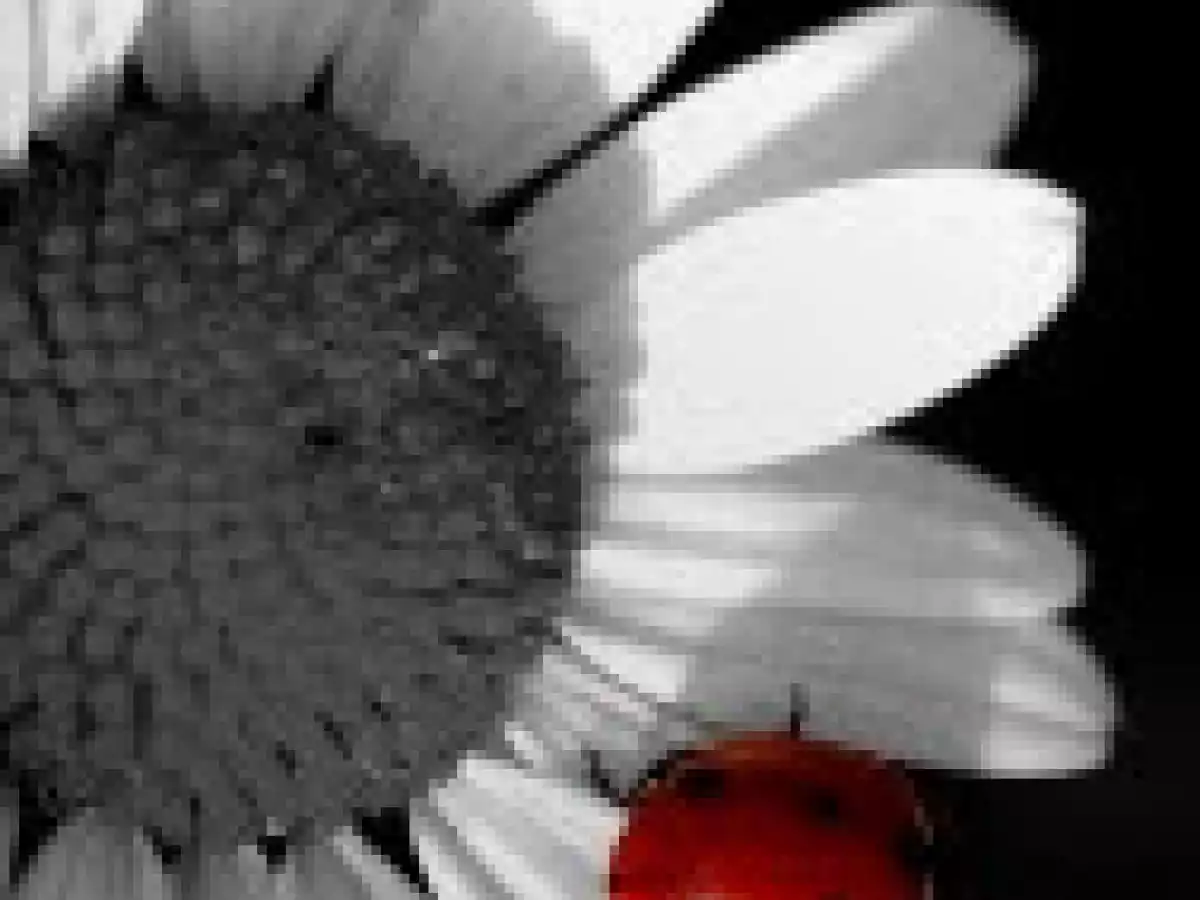 TARTA LADYBUG (O la tipica tarta de galletas de toda la life) - foto 3