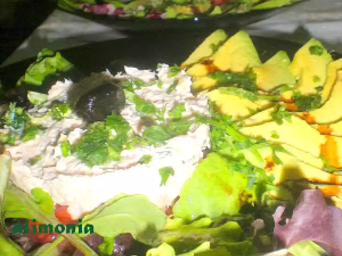 Tartar de tomates a la espuma de atun - foto 4