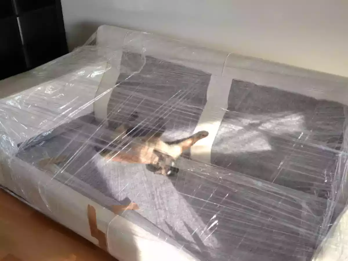 TEJAS DE ALMENDRA - foto 3