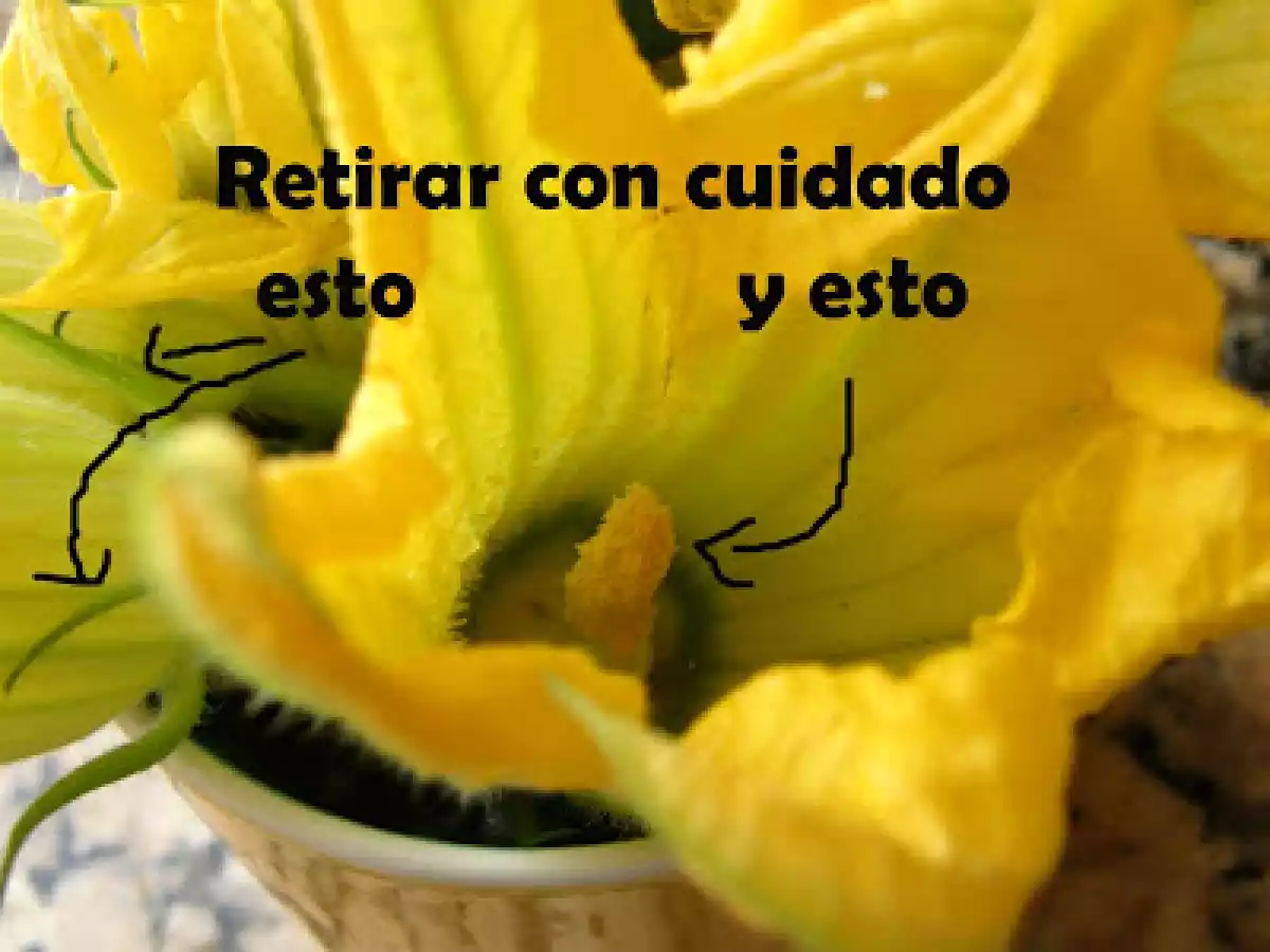 Tempura de flores de calabacín.