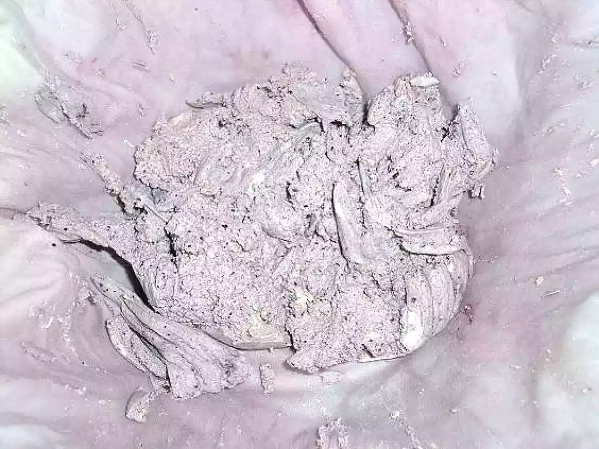 Tofu dulce de arándanos - foto 2