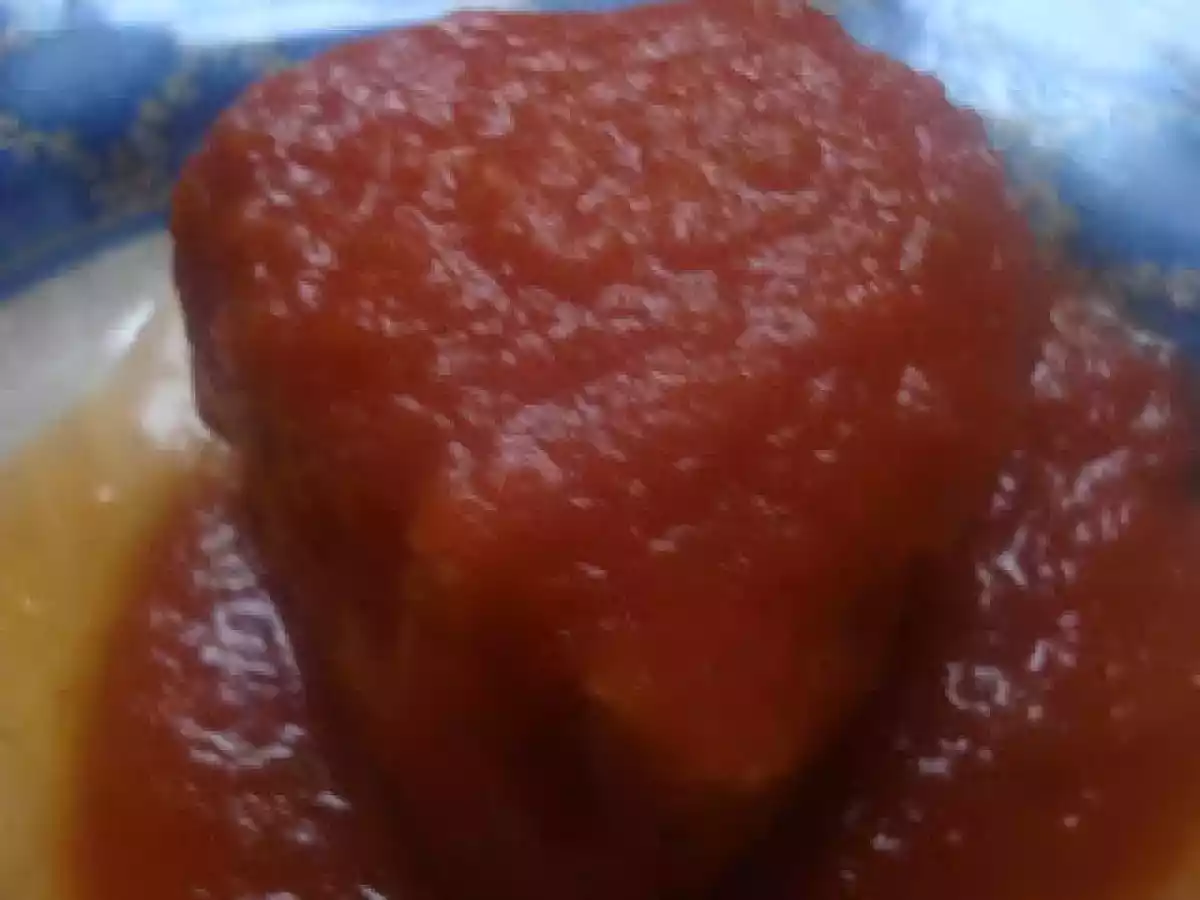 TOMATE FRITO CASERO (FUSSION COOK)