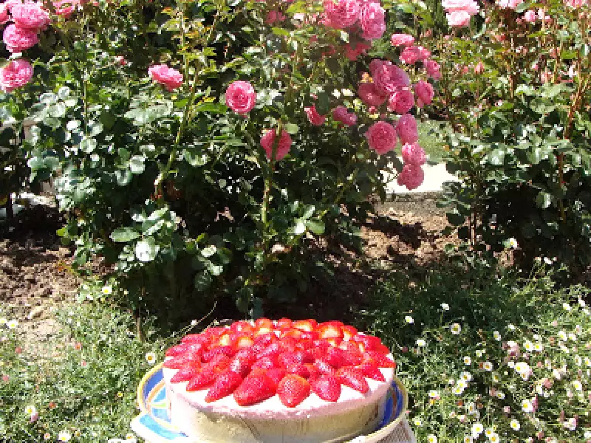 TORTA BAVAROISE DE PISTACHOS-FRUTILLAS...UN EMBRUJO PARA LAS FIESTAS DE FIN DE AÑO!!! - foto 2