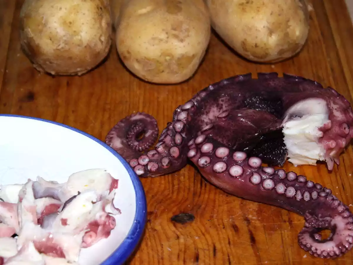 Tortilla a feira - foto 3