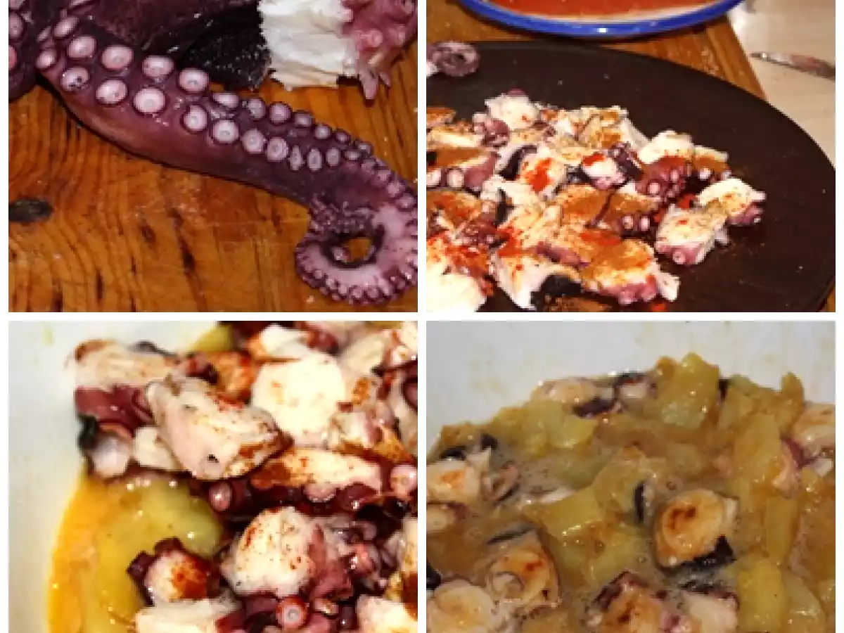 Tortilla a feira - foto 5