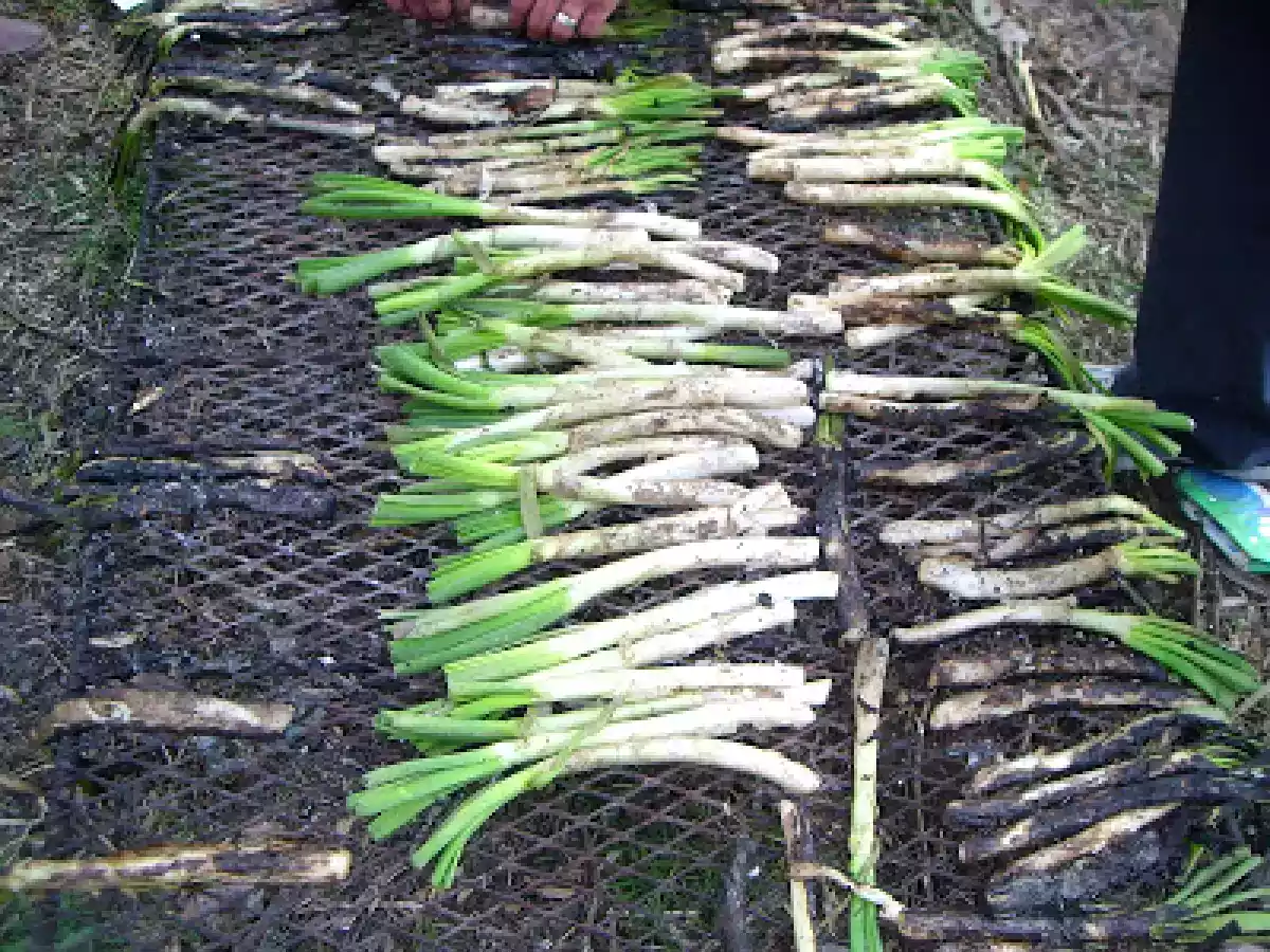Tortilla De Calçots - foto 2