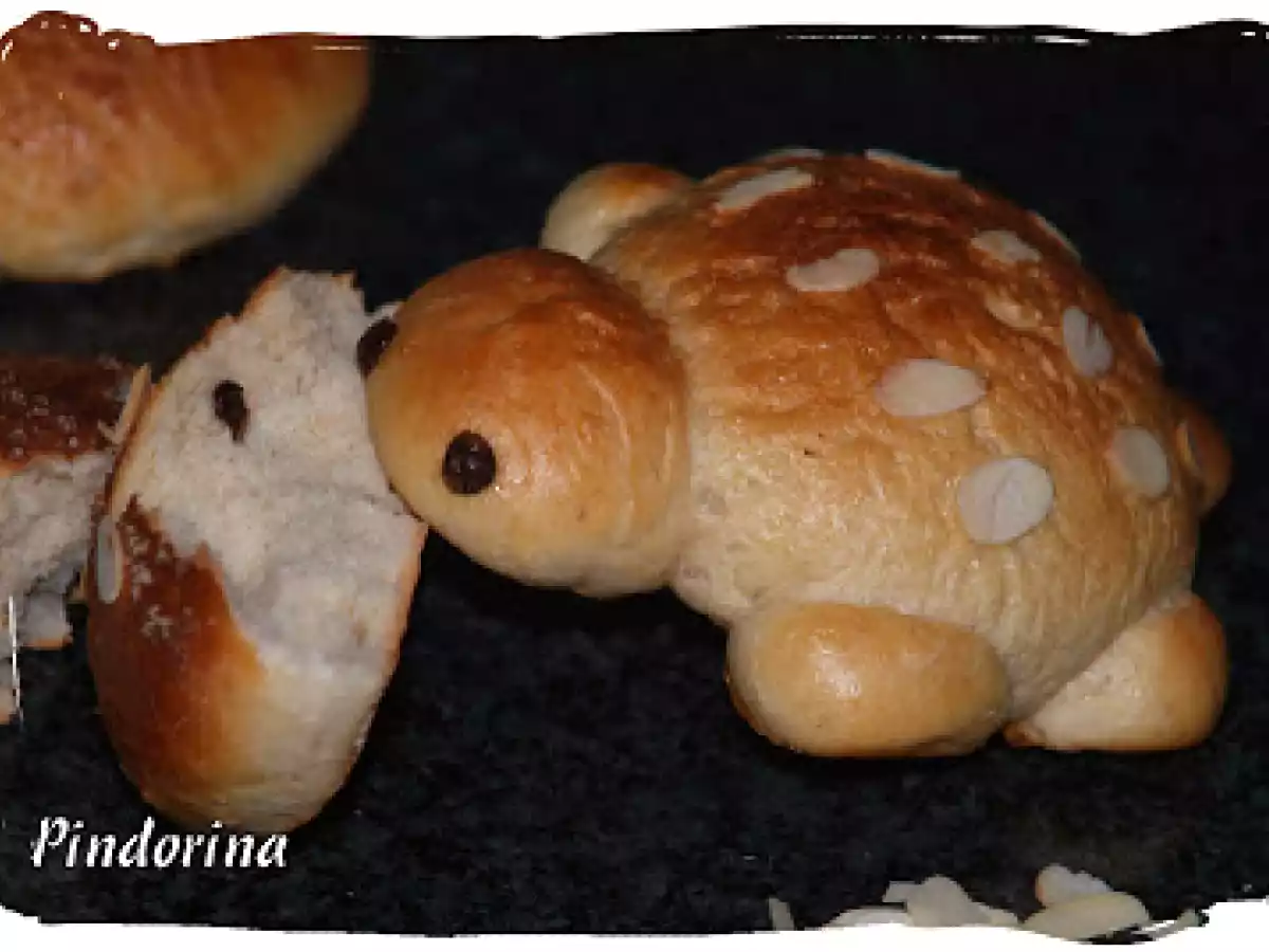 Tortuga dulce y panecillos de pan dulce