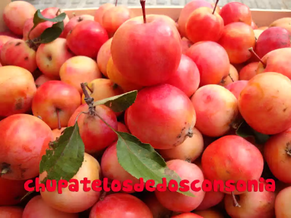 Trenza de manzanas azufaifo y chocolate blanco - foto 2