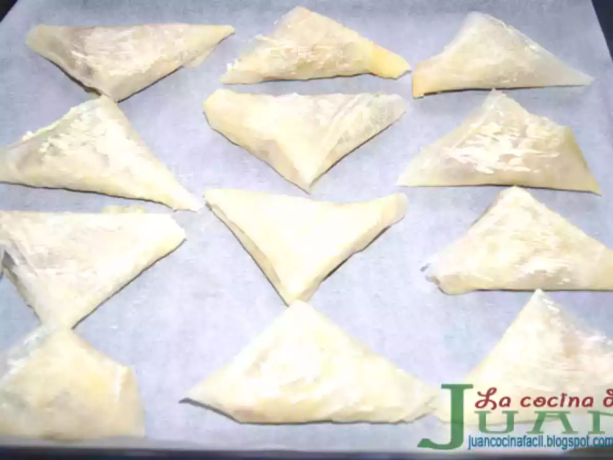 TRIÁNGULOS DE PASTA FILO RELLENOS DE ROVELLONES - foto 6