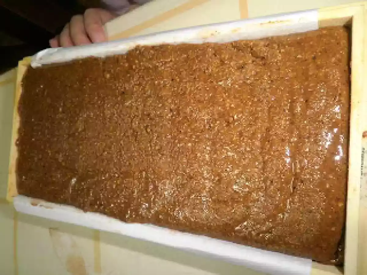 TURRÓN DE AVELLANA TMX - foto 2