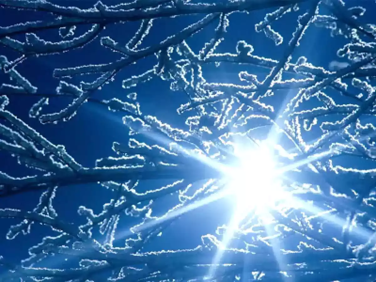 Turrón de yema tostada - foto 2