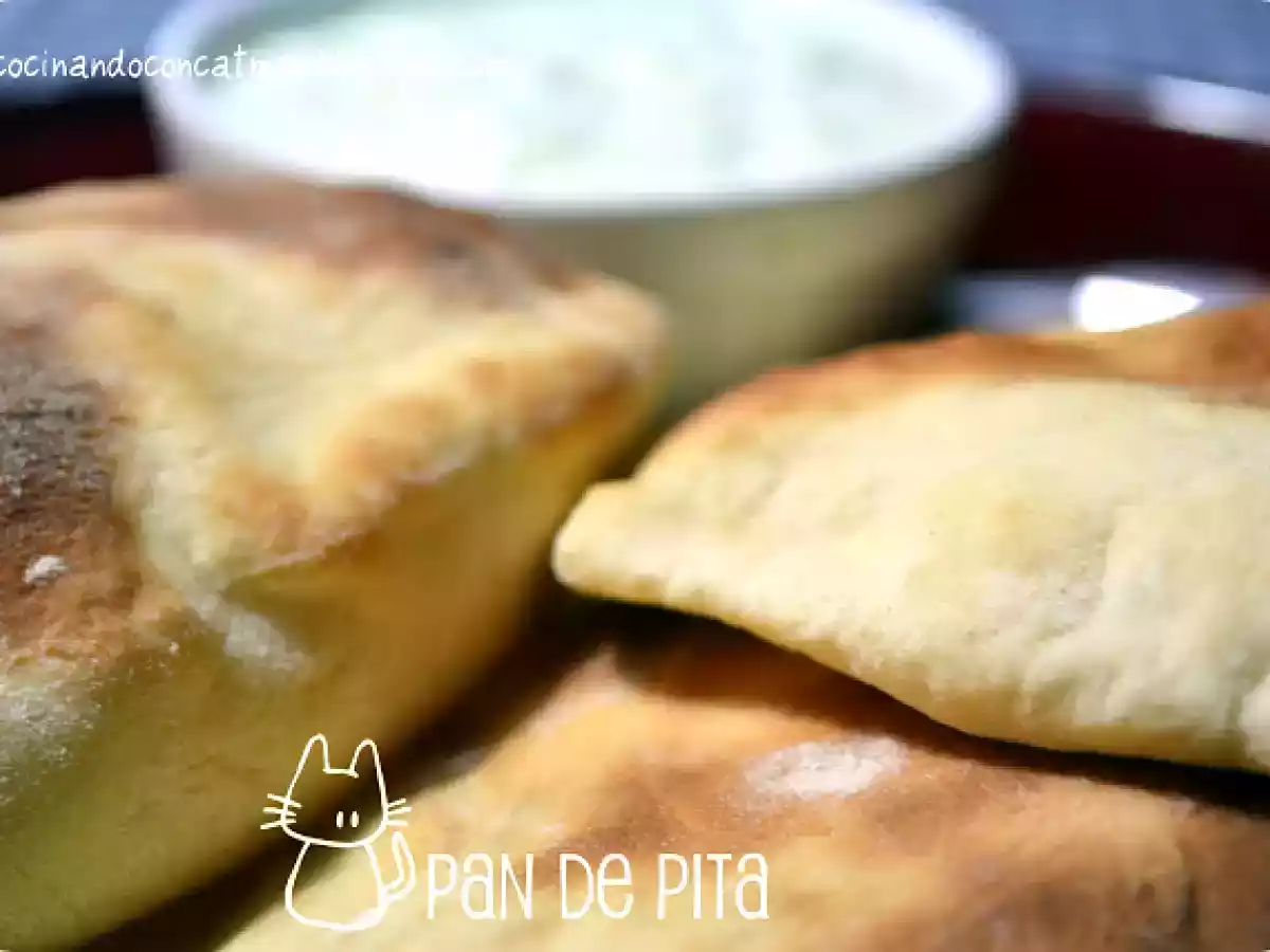 Tzatziki y su pan de pita - foto 2
