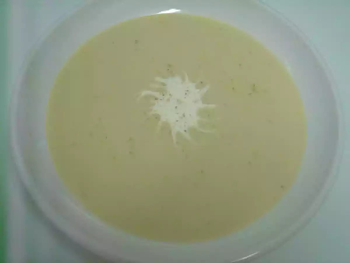 VICHISOISE II (Crema de puerros)