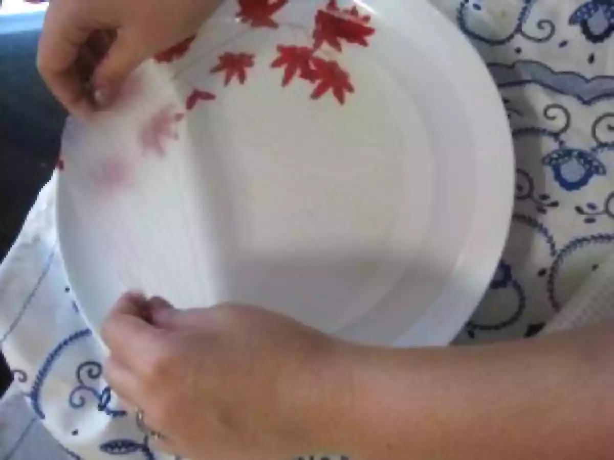 Vietnamese Rolls con salsa de Mani-Hoisin - foto 4