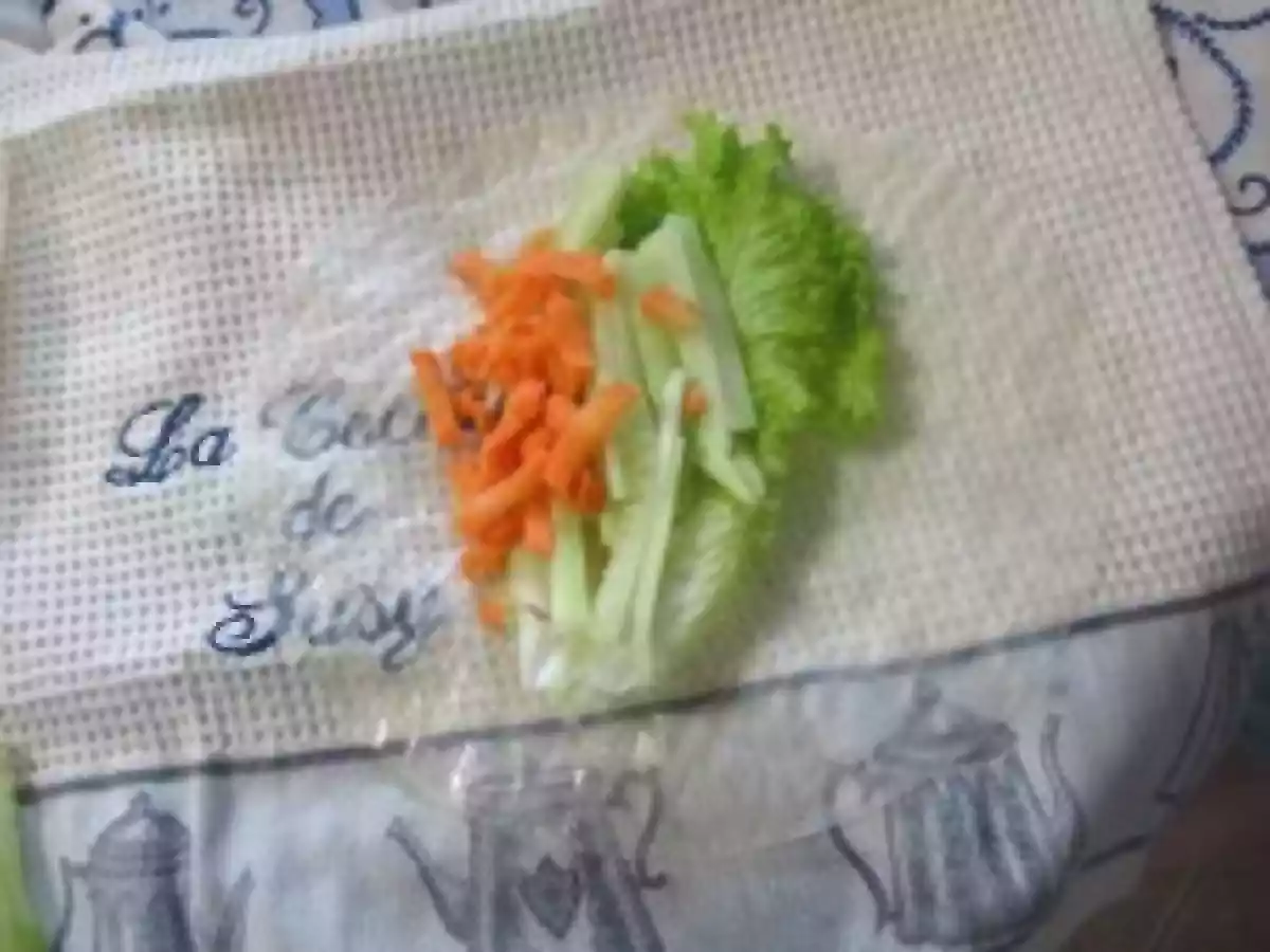 Vietnamese Rolls con salsa de Mani-Hoisin - foto 6