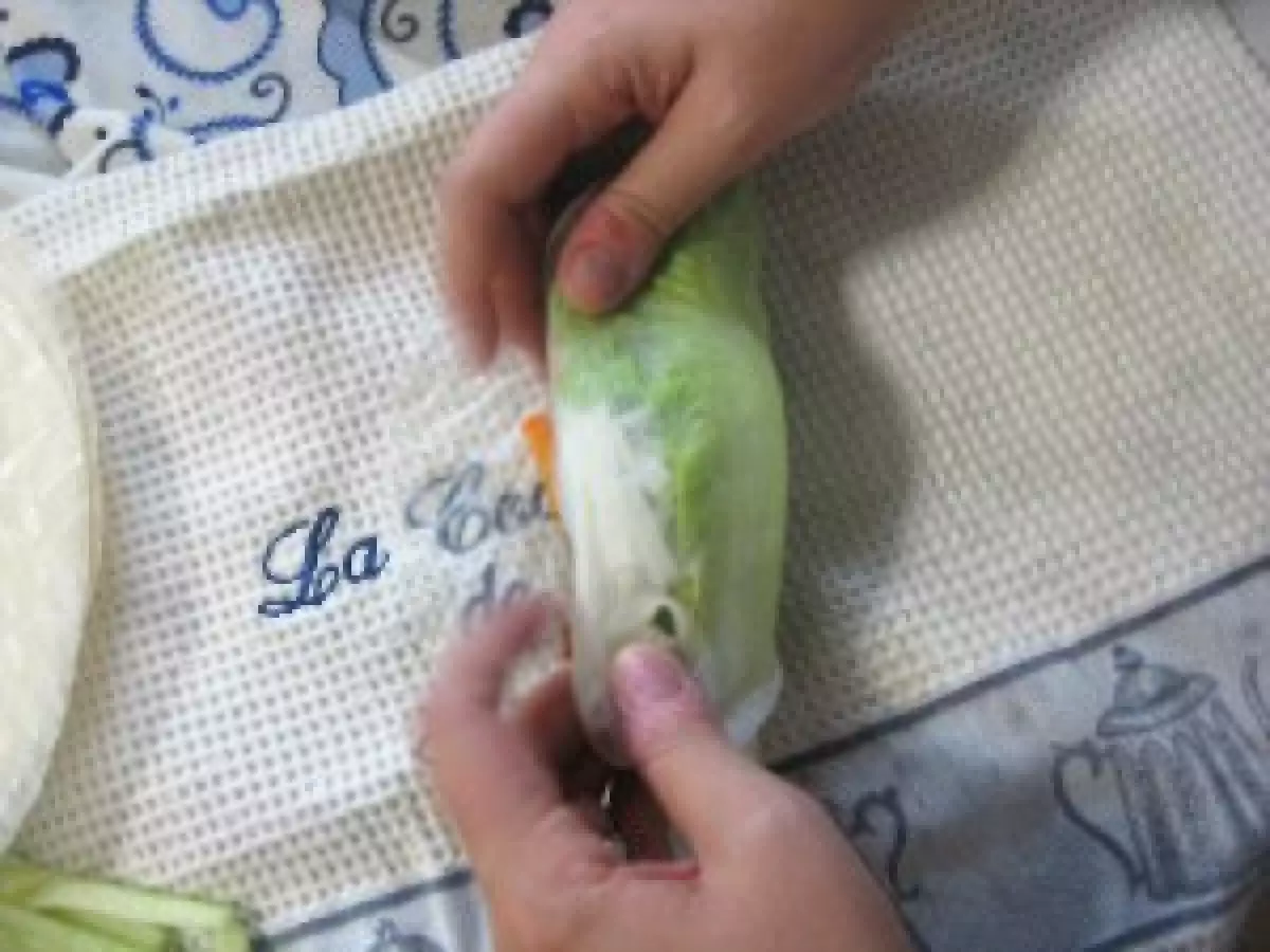 Vietnamese Rolls con salsa de Mani-Hoisin - foto 9