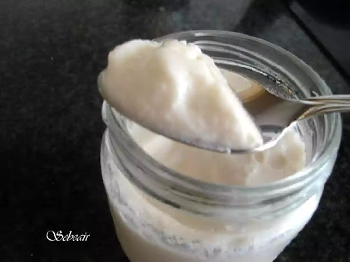 YOGUR CON INFUSION DE MANZANA Y CANELA (yogurtera y thermomix)