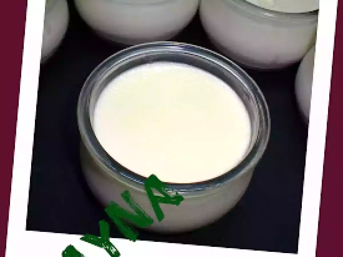 YOGUR DE CHOCOLATE BLANCO(THERMOMIX) - foto 3