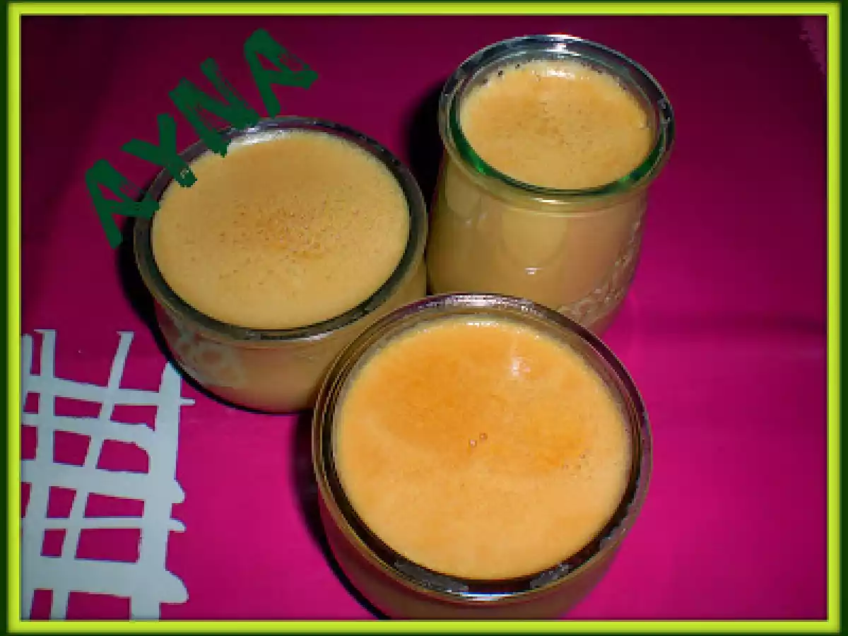 YOGUR DE DULCE DE LECHE(THERMOMIX)