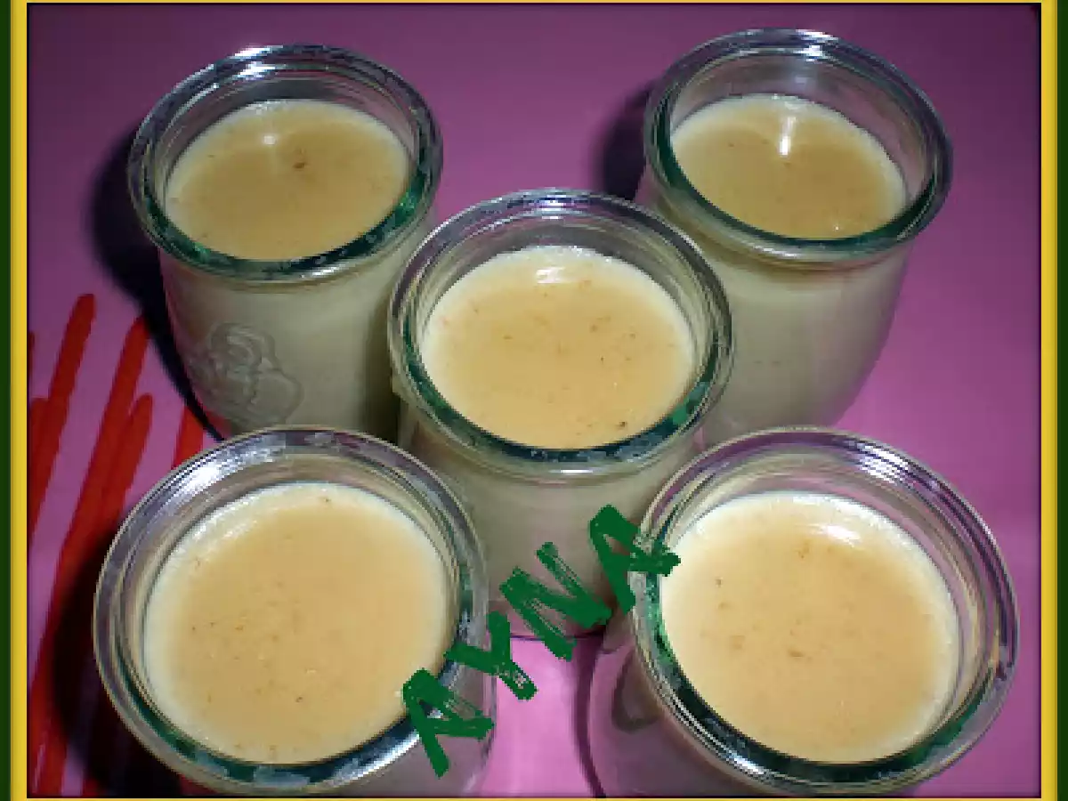 YOGUR DE GALLETAS(THERMOMIX)