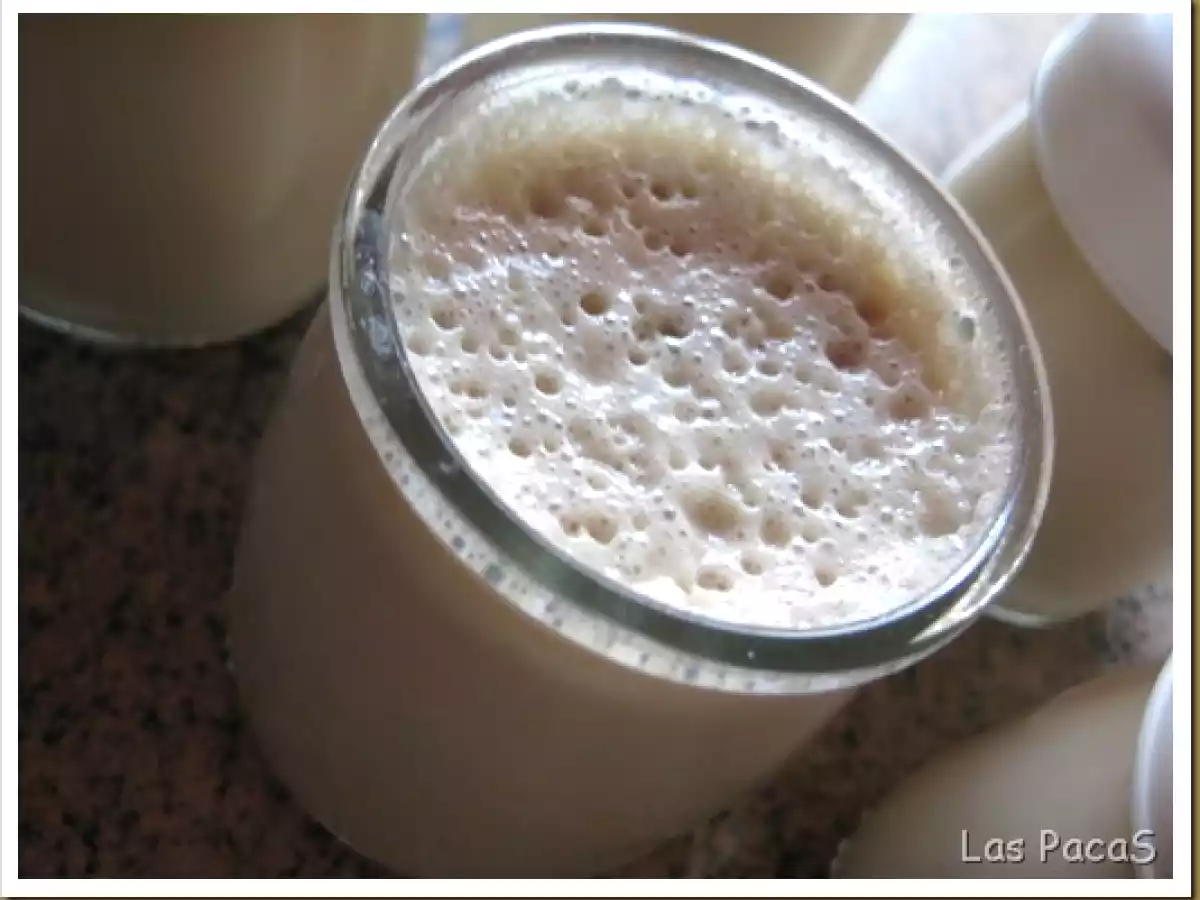 Yogur de Turrón (Thermomix) (Yogurtera) - foto 2