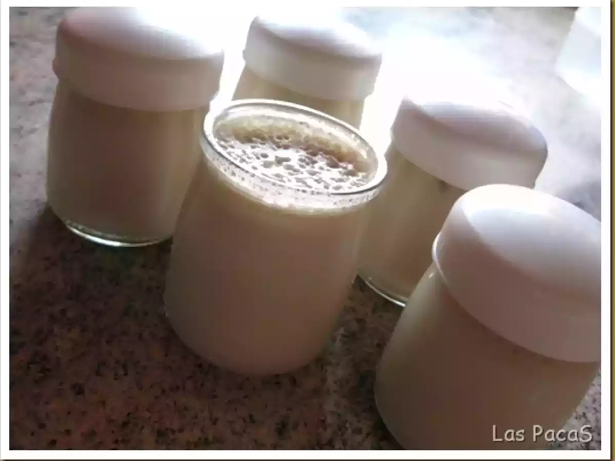 Yogur de Turrón (Thermomix) (Yogurtera) - foto 3