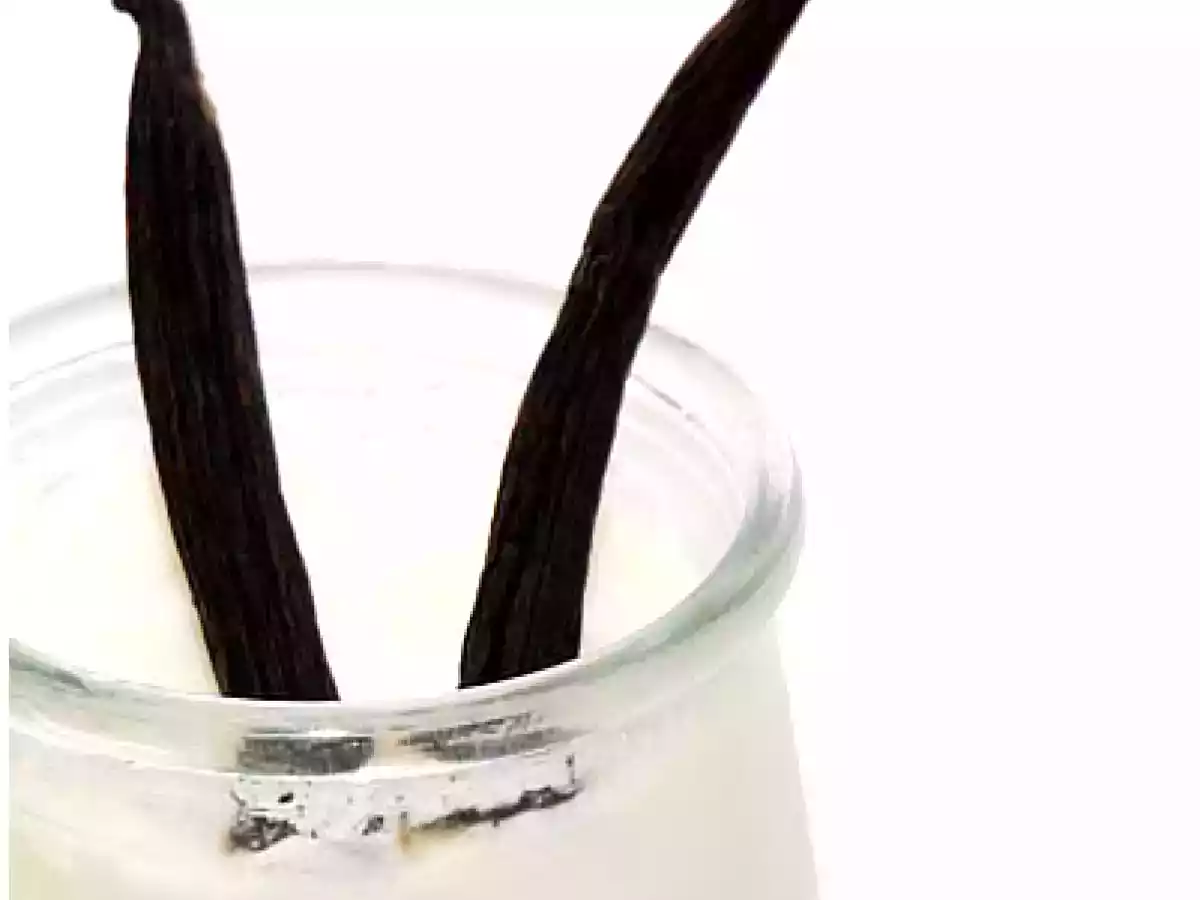 Yogur de vainilla - foto 2