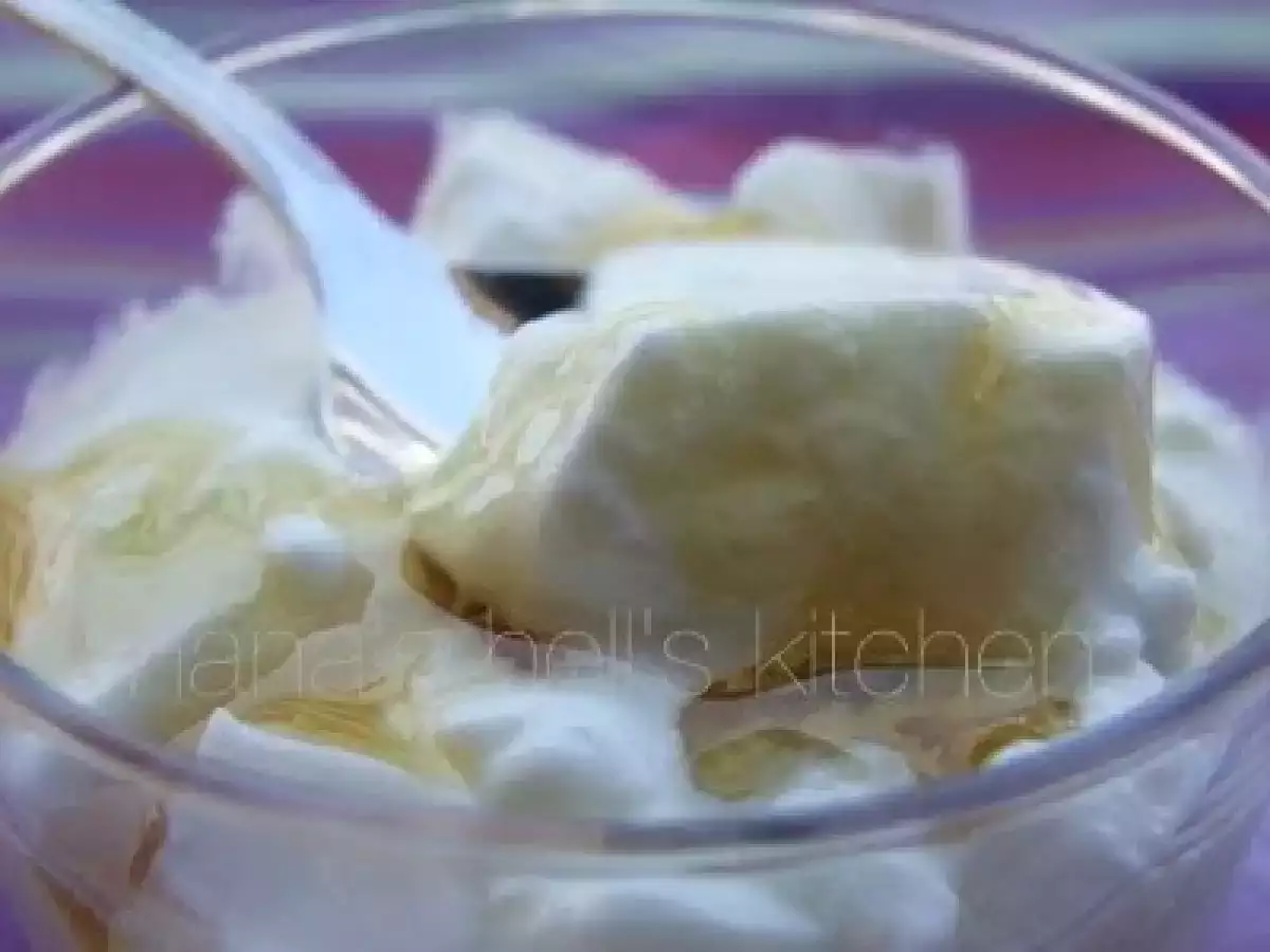 Yogur natural sin azúcar